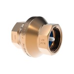 Zawór zwrotny 3/4" grzybek z tworzywa CALIDO Pionier DN20